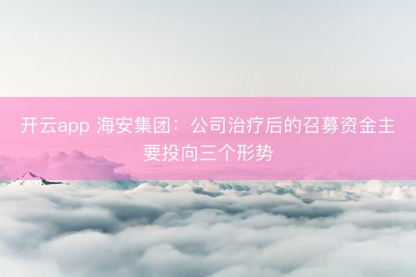 开云app 海安集团：公司治疗后的召募资金主要投向三个形势