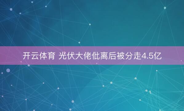 开云体育 光伏大佬仳离后被分走4.5亿