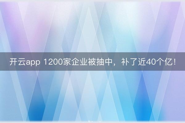 开云app 1200家企业被抽中，补了近40个亿！