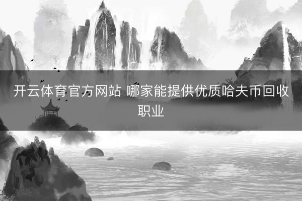 开云体育官方网站 哪家能提供优质哈夫币回收职业