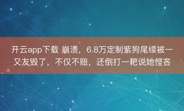 开云app下载 崩溃，6.8万定制紫狗尾续被一又友毁了，不仅不赔，还倒打一耙说她悭吝
