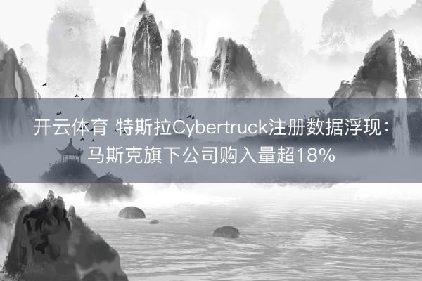 开云体育 特斯拉Cybertruck注册数据浮现：马斯克旗下公司购入量超18%