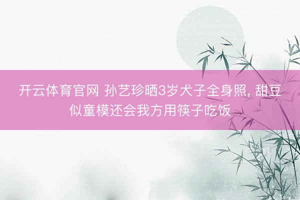 开云体育官网 孙艺珍晒3岁犬子全身照， 甜豆似童模还会我方用筷子吃饭