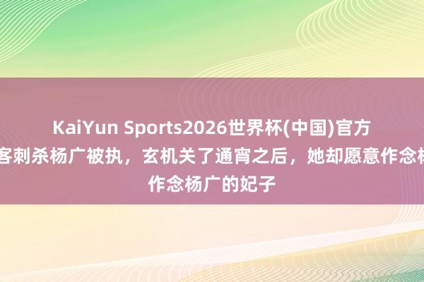 KaiYun Sports2026世界杯(中国)官方网站 女刺客刺杀杨广被执，玄机关了通宵之后，她却愿意作念杨广的妃子