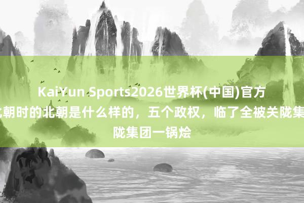 KaiYun Sports2026世界杯(中国)官方网站 南北朝时的北朝是什么样的，五个政权，临了全被关陇集团一锅烩