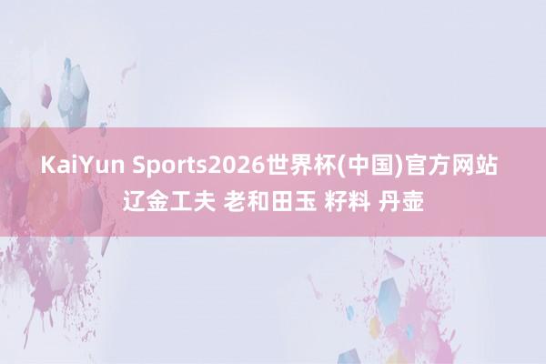 KaiYun Sports2026世界杯(中国)官方网站 辽金工夫 老和田玉 籽料 丹壶