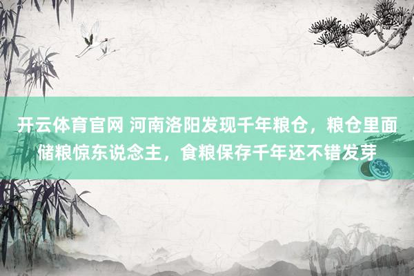 开云体育官网 河南洛阳发现千年粮仓，粮仓里面储粮惊东说念主，食粮保存千年还不错发芽