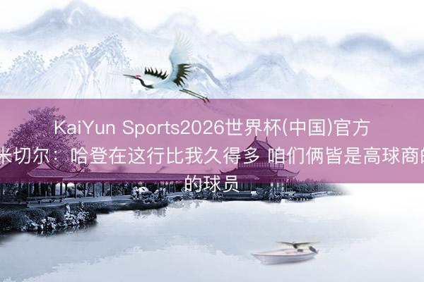 KaiYun Sports2026世界杯(中国)官方网站 米切尔：哈登在这行比我久得多 咱们俩皆是高球商的球员