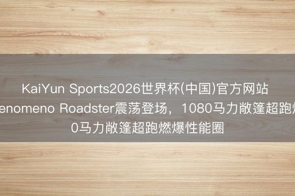 KaiYun Sports2026世界杯(中国)官方网站 兰博基尼Fenomeno Roadster震荡登场，1080马力敞篷超跑燃爆性能圈