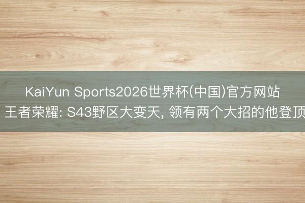 KaiYun Sports2026世界杯(中国)官方网站 王者荣耀: S43野区大变天， 领有两个大招的他登顶