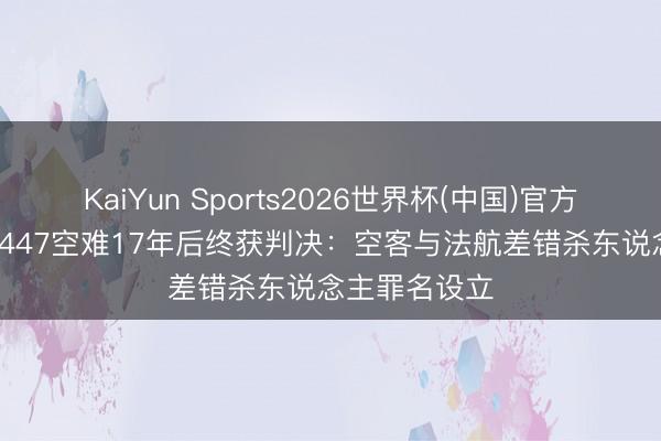 KaiYun Sports2026世界杯(中国)官方网站 法航AF447空难17年后终获判决：空客与法航差错杀东说念主罪名设立