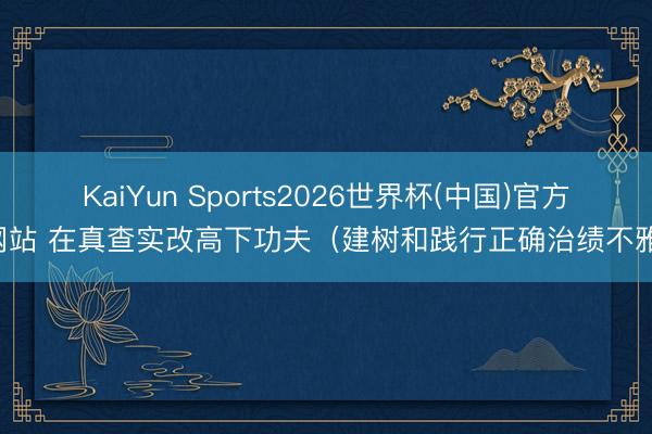 KaiYun Sports2026世界杯(中国)官方网站 在真查实改高下功夫（建树和践行正确治绩不雅）