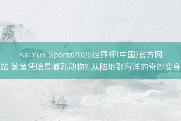 KaiYun Sports2026世界杯(中国)官方网站 鲸鱼凭啥是哺乳动物? 从陆地到海洋的奇妙变身