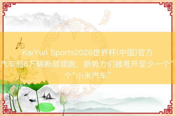 KaiYun Sports2026世界杯(中国)官方网站 零跑汽车超8万辆断层领跑，新势力们被甩开至少一个“小米汽车”