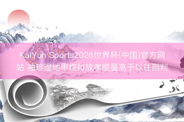 KaiYun Sports2026世界杯(中国)官方网站 袖珍湿地甲烷排放孝顺量高于以往剖判