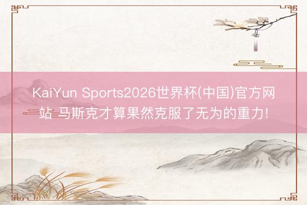 KaiYun Sports2026世界杯(中国)官方网站 马斯克才算果然克服了无为的重力!