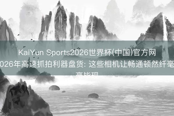 KaiYun Sports2026世界杯(中国)官方网站 2026年高速抓拍利器盘货: 这些相机让畅通顿然纤毫毕现