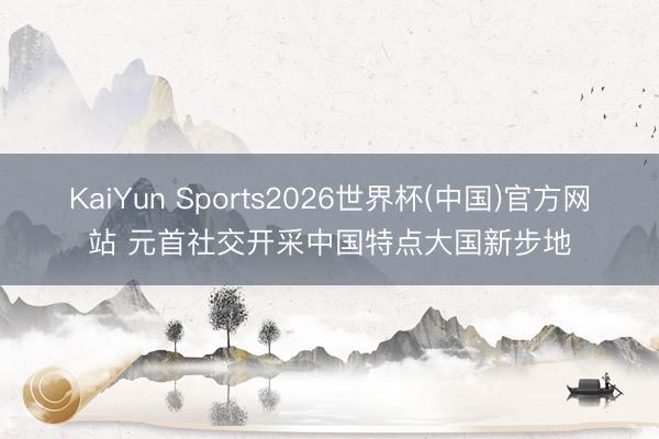 KaiYun Sports2026世界杯(中国)官方网站 元首社交开采中国特点大国新步地