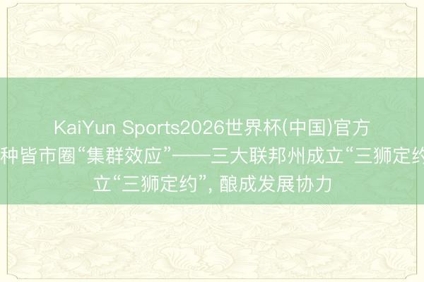 KaiYun Sports2026世界杯(中国)官方网站 德国探索栽种皆市圈“集群效应”——三大联邦州成立“三狮定约”， 酿成发展协力